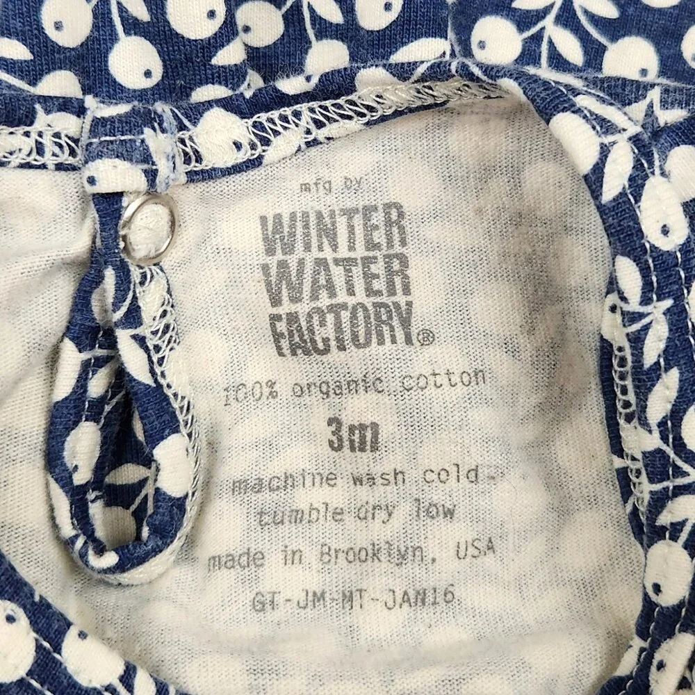Winter Water Factory Organic Cotton Blueberry Vines Sleeveless Dress sz 3m